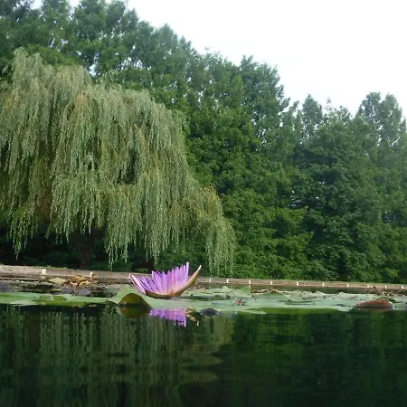 Appartement Luciole Du Lac *